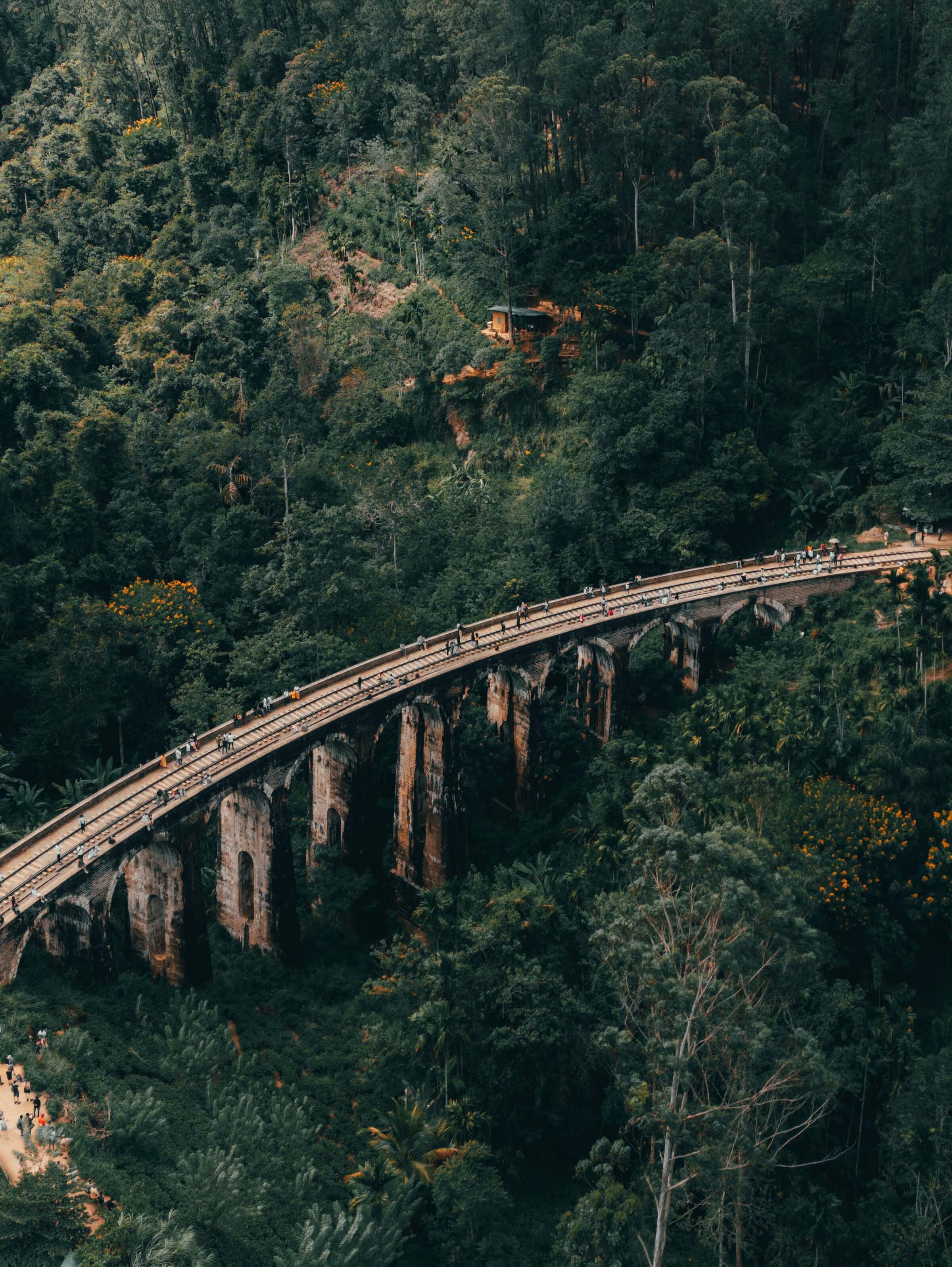 Iconic Nine Arch Bridge & Ella Tea Country